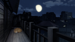 レイヤー 6.png